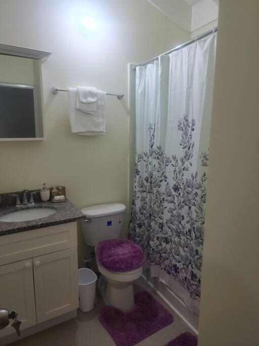 Stonebrook Manor Villa Chateau Falmouth Εξωτερικό φωτογραφία